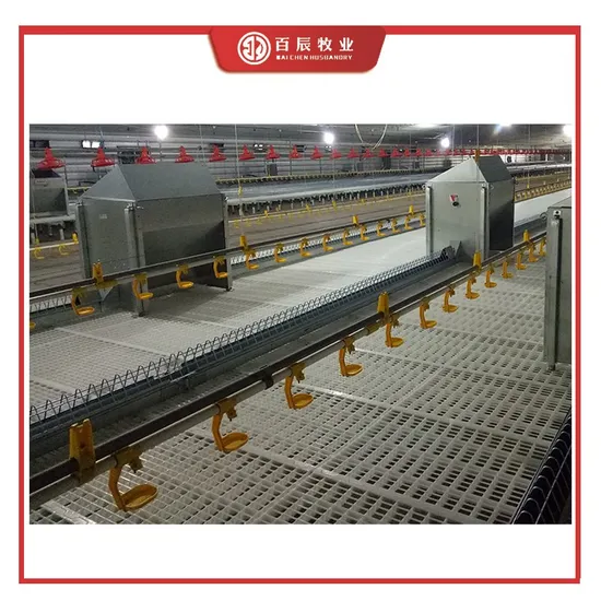 Poultry Farm Slat Equipment for Chicken