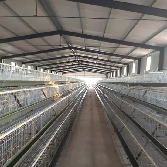 Custom Farming Farm Galvanized Steel Wire 4-Layer Chicken Cage Poultry Breeding Equipment