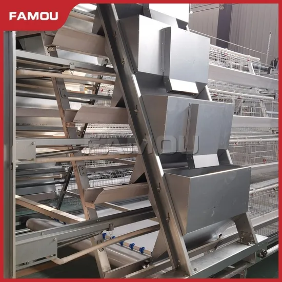 Famou Automatic Chicken Farming Equipment Intelligent Ladder Type Automatic Hen Feeding System