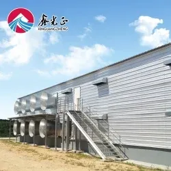 Low Cost Steel Structure Poultry House (BYPH-220609001)
