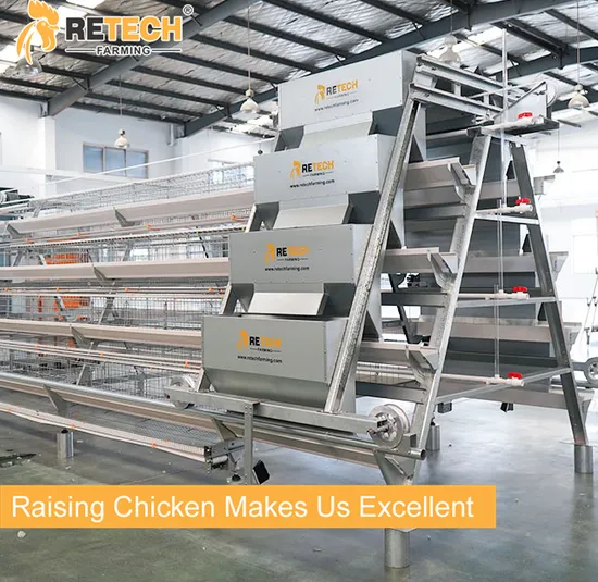 High Quality Automatic Chicken House layer Poultry Farm Machine/Equipment in Guinea