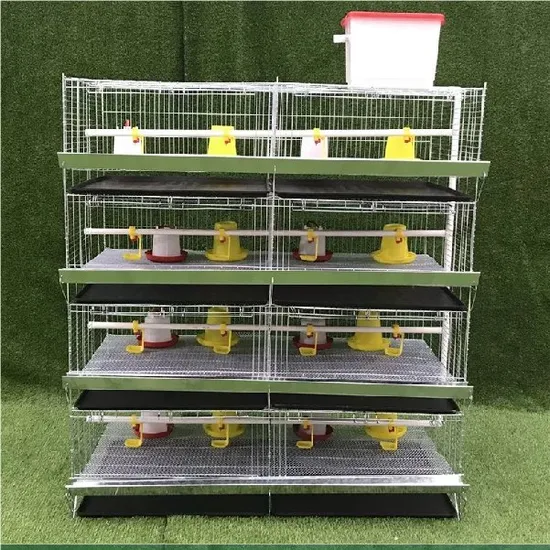 Reliable Quality Wire Mesh Chicken Cages, Poultry Farm Chicken Cages