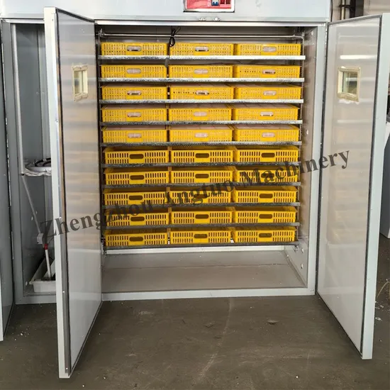 Factory Supply Fully Automatic 5000 Eggs Chicken Bird Goose Duck Incubator