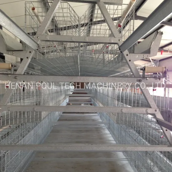 Modern Designed Layer Chicken Cage for Automatic Poultry Farm
