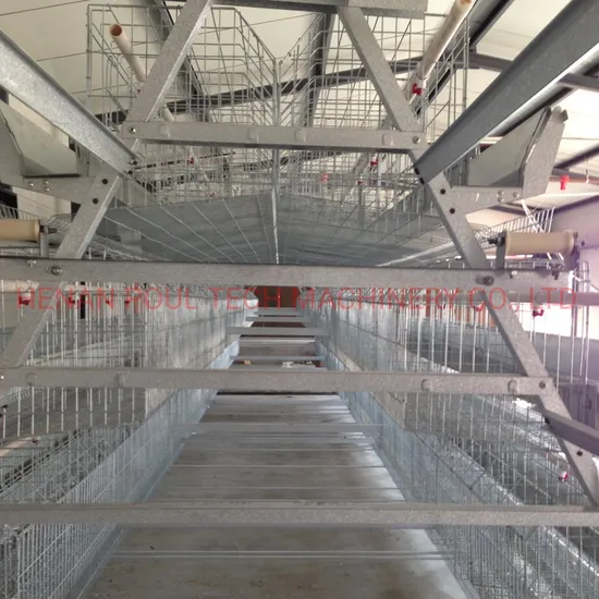 a-Frame Poultry Farm Layer Hens Cage with Egg Collection System