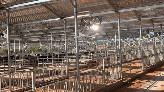 for Sale Durable and Corrosion-Resistant Ventilation Fans for Beef Cattle
