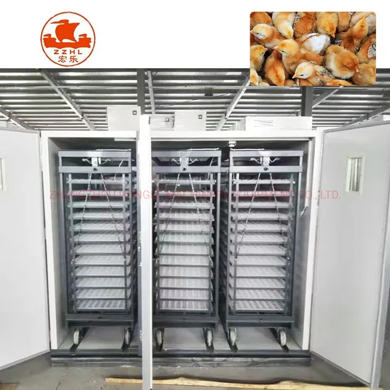 Automatic Chicken and Birds Egg Hatcher / Poultry Egg Incubator Controller Hatching Machine