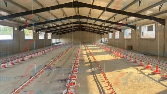 Poultry House Design for Layers in Kenya Farm