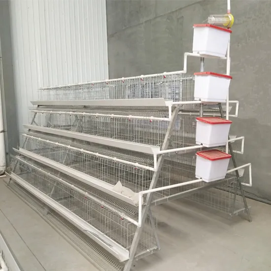 Poultry Farm Equipment A Type Galvanized Chicken Cage