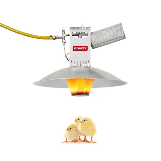 Better Ambiance and Less Gas Consumption Poultry Gas Brooder Heater in Africa Poultry Farm