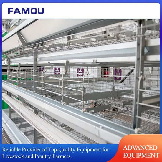 Commercial Poultry Farming Cage Solutions with Steel Structure for Stable Egg Laying