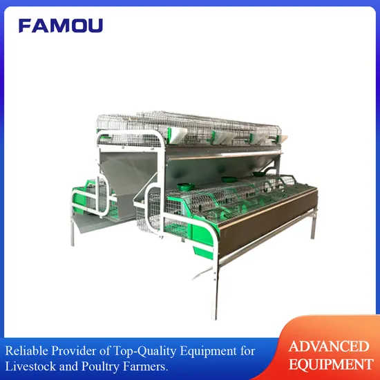 Livestock Machinery Husbandry Machines Rabbit House Rabbit Cage with Automatic Feeding and Watering System