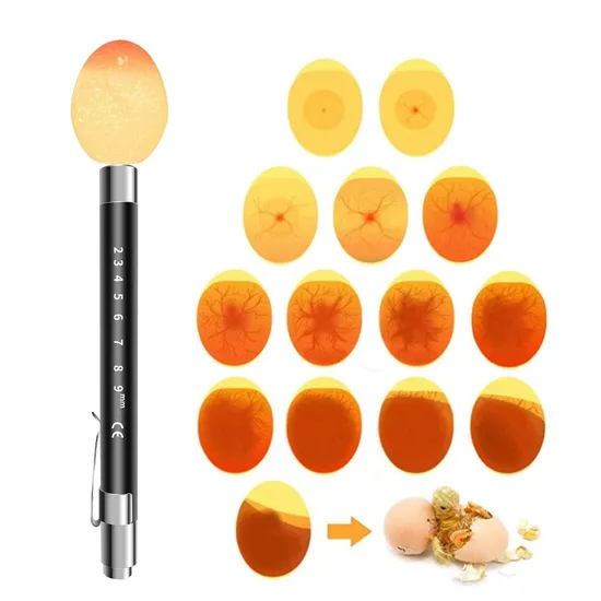 1PCS Egg Candler Tester High Intensity Cool LED Light Candling Lamp Rechargeable for All Types Egg Broody or Incubator Monitor