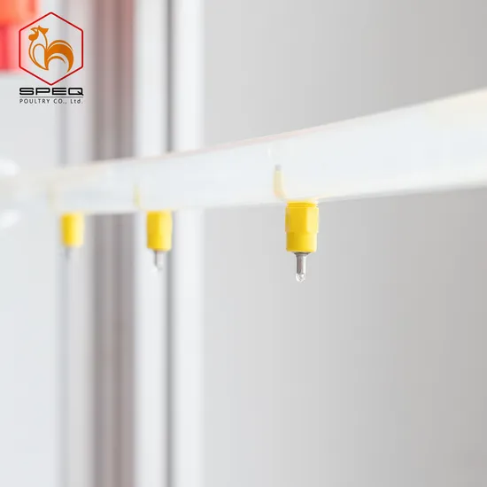 Husbandry Machinery Poultry Farm Equipment Chicken Coop Nipple Drinker for Sale