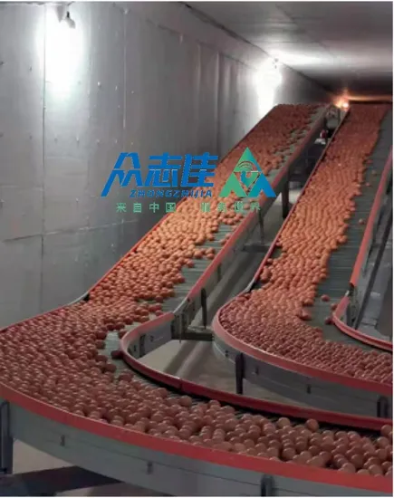2024 Automatic Chicken Layer Cages Broiler Chicken Feed System H Type Broiler Cage
