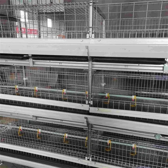 Wholesale Poultry Farm Galvanized Steel Wire Layer Chicken Cage with Feeding Equipment