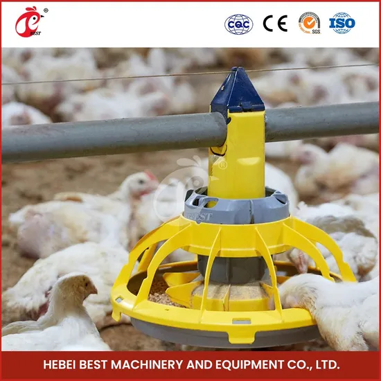 Bestchickencage Broiler Deep Litter System ODM Custom China 360 Degree Double Sealed Floor Raising Automatic Deep Litter System Factory