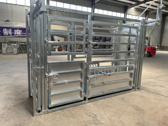 Livestock Yard Widely Used Cattle Yard Vet Squeeze Cattle Crush