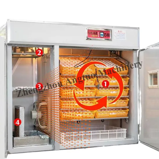 Automatic Chicken Hatching Machine 2000 Eggs Incubation Machine