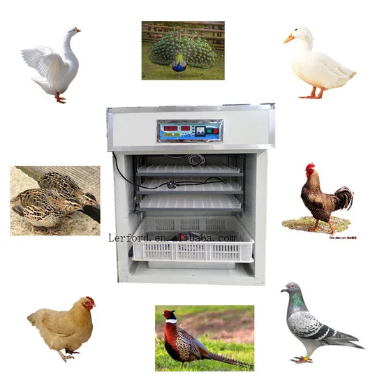 Automatic Commercial Solar Poultry Chicken Hen Bird Duck Egg Hatching Machine