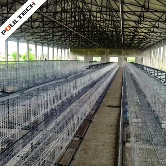 High Quality Battery Layer Cage for Poultry Farm Automatic Equipment