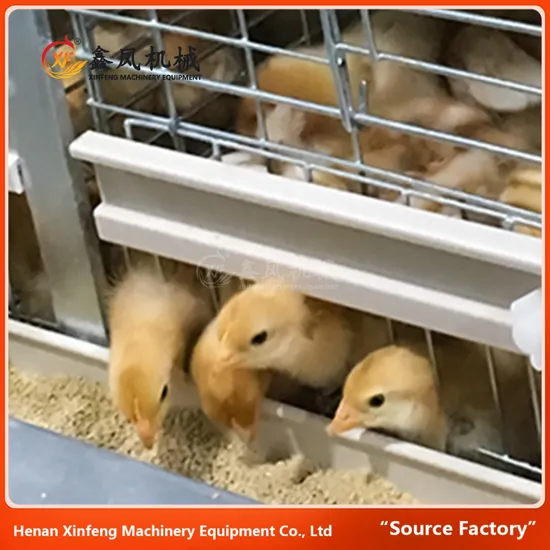 Poultry Farming Battery Pullet Cage Raising 30000 Birds in Poultry House Chicken Cage for Pullet