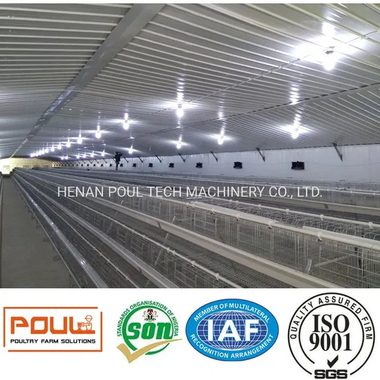 Multipurpose Type H Chicken Poultry Raising Equipment