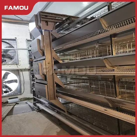 Famou Poultry Farm Equipment Automatic Identification H Type Poultry Cage Feeding Systems