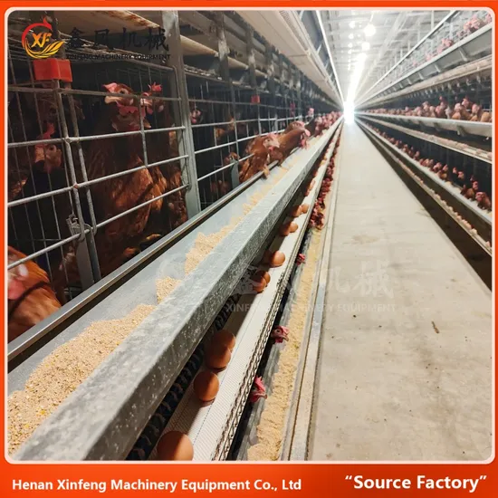 Hot Sale 10000 Layer Cage Egg Layer Chicken Cage H Type