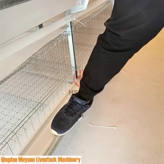 Feeding Trough Chicken Broiler Livestock Machinery for Indonesia Farm