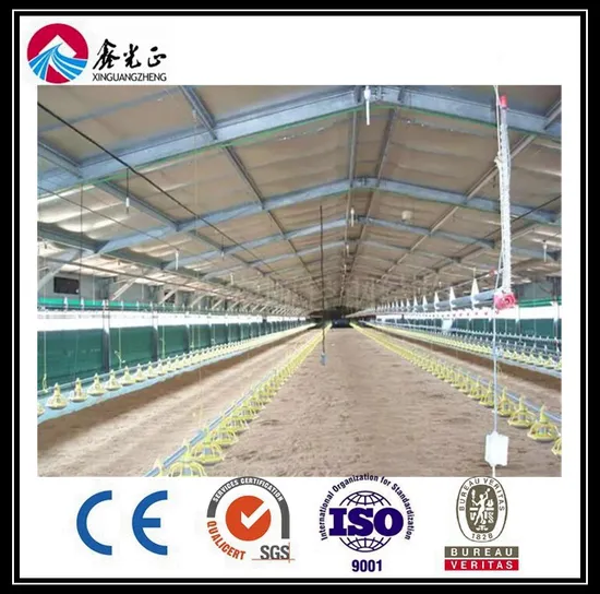 Prefab Steel Structure Poultry House (BYPH-220610001)