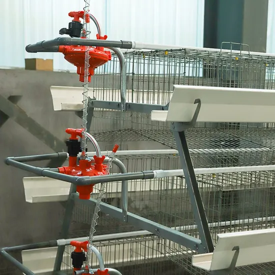 Automatic Poultry Farm Equipment Battery a Type Layer Chicken Cage for Sale
