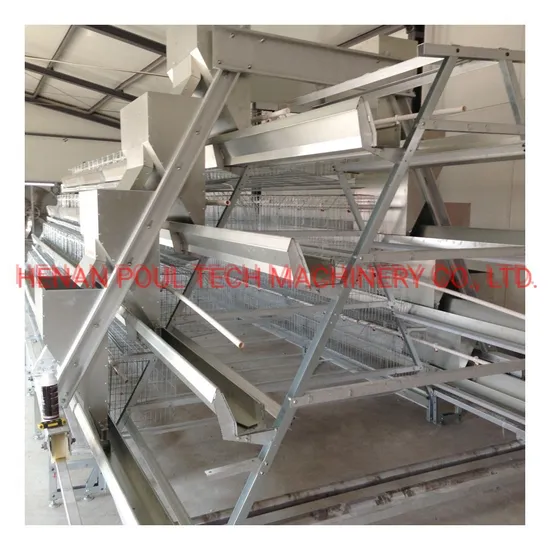 Chicken Cage Type a or H Poultry Raising Equipment