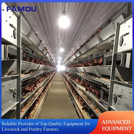 Stable and Durable Poultry Equipment Supplier for Layer Chicken Cages