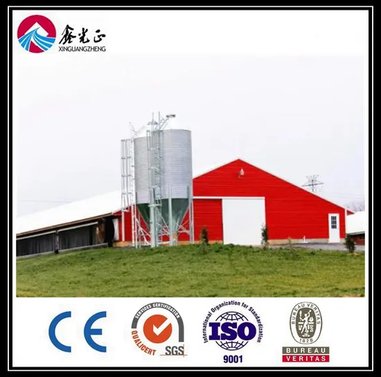 Prefabricated/Prefab Hot Sale Full-Set Automatic Feeding System Chicken House