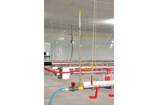 Manufacture Supply Chicken House Equipment Automatic Feeding Line
