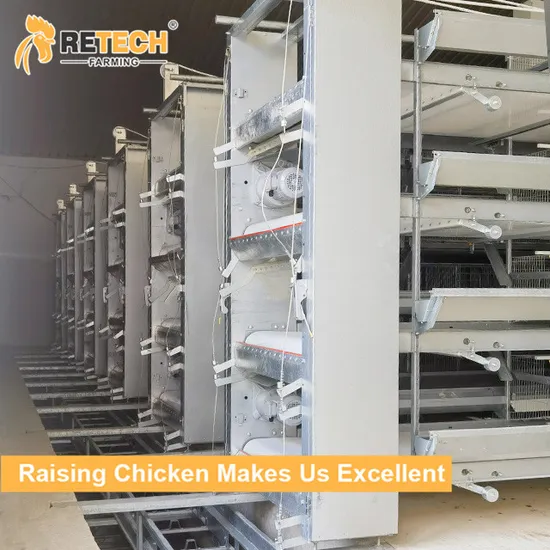 Automatic H Type Chicken Cages Layer Poultry For Farming Equipment