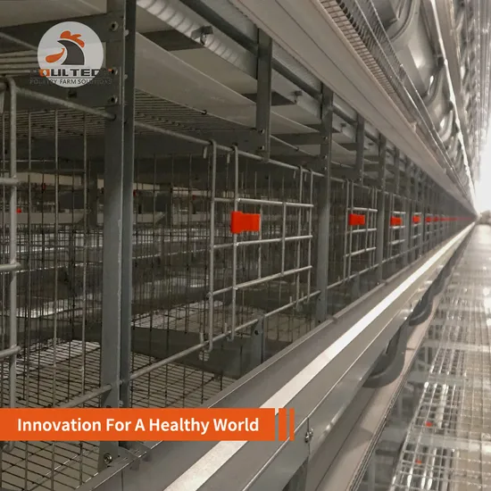 Multilayer Poultry Farm Galvanized Equipment Egg Chicken Layer Cage