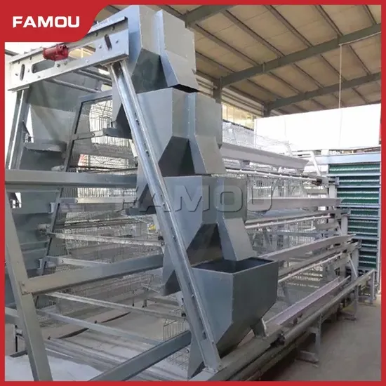 Famou Automatic Poultry Equipment Dustproof Design Ladder Type Chicken Raising Automatic Feeding System