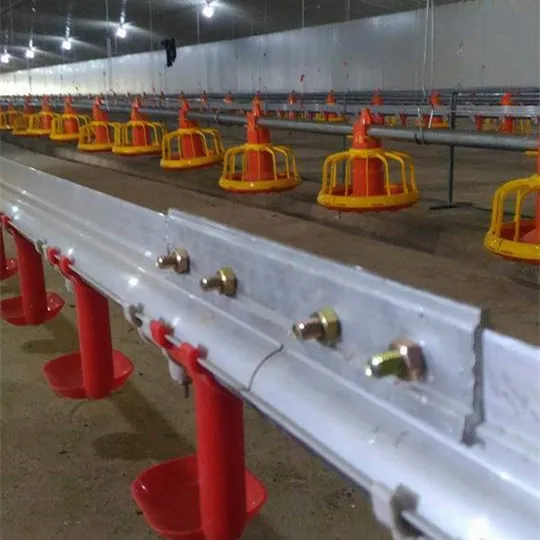 Full Set Broiler Poultry Farming Equipment with Prefab Chicken Shed