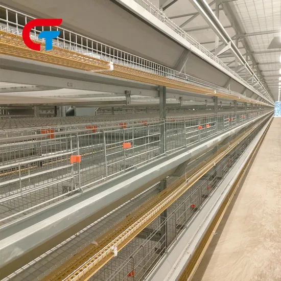 China Farming House Equipment H-Type Layered Chicken Poultry Cage for Layers with Good Price