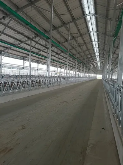 Hot DIP Galvanized Neck Clamp for Cattle of All Ages for Intensive Management