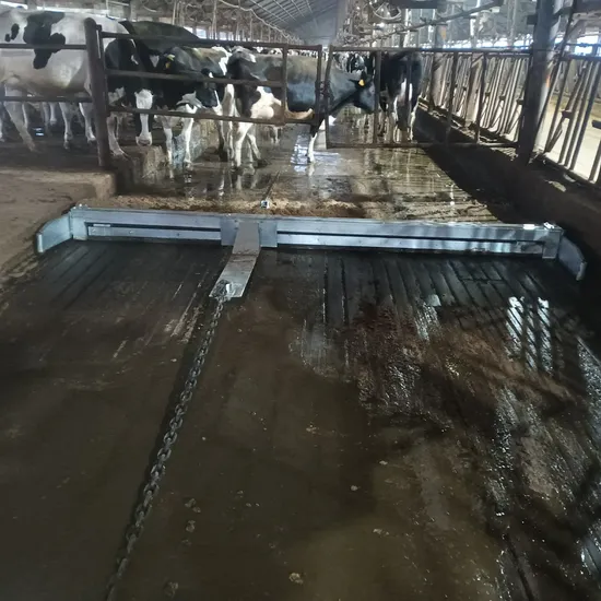 High-Quality Dairy Farm Cow Manure Smart Scraper