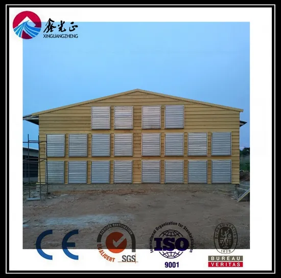 Low Price Professionally Designed Steel Structure Chicken House and Equipment (BYPH-220530001)