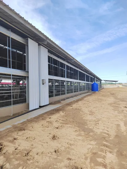 Windproof PVC Curtain Dairy Farm Rolling Curtain