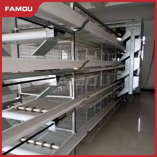 Famou Poultry Farming Equipment Automatic Adjustment H Type Small Auto Chicken Feeder