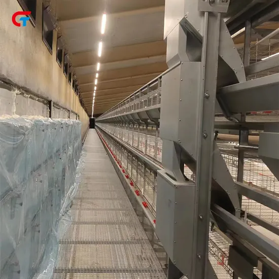 New Model H Type Layered Poultry Farming Chicken Battery Cage for Sell