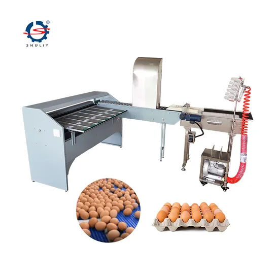 Large Automatic Weight Divide Eggs Sorter for Duck/Quail /Goose/Chicken Egg Printing Machine