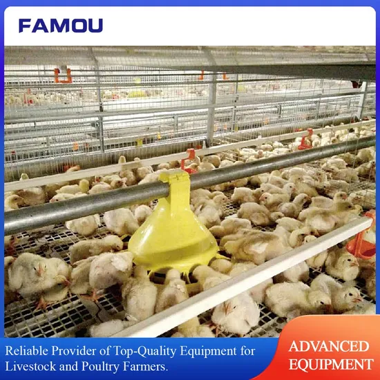 Customized Steel H-Type Battery Cage for Broiler Chickens with Easy Operation Features