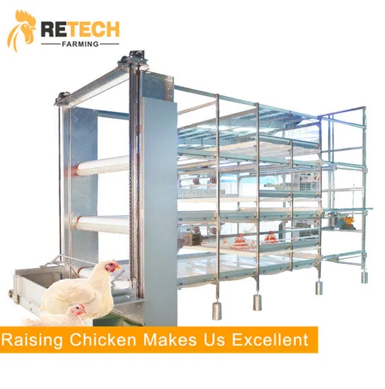Customized Chicken Poultry Broliers Equipment for One Stop Service